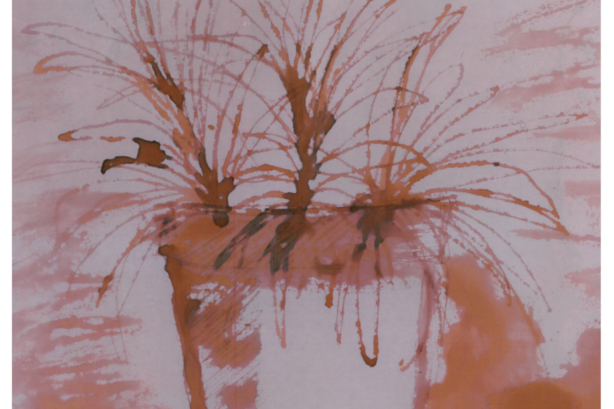 Pro mě v Domě ekologicky